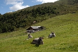 \"Foto\"